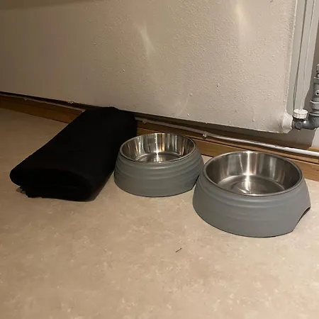 Cozy One-bedroom With A Parking Spot