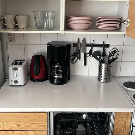 Cozy One-bedroom With A Parking Spot 公寓 凯米