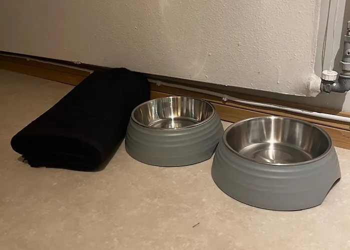 Cozy One-bedroom With A Parking Spot